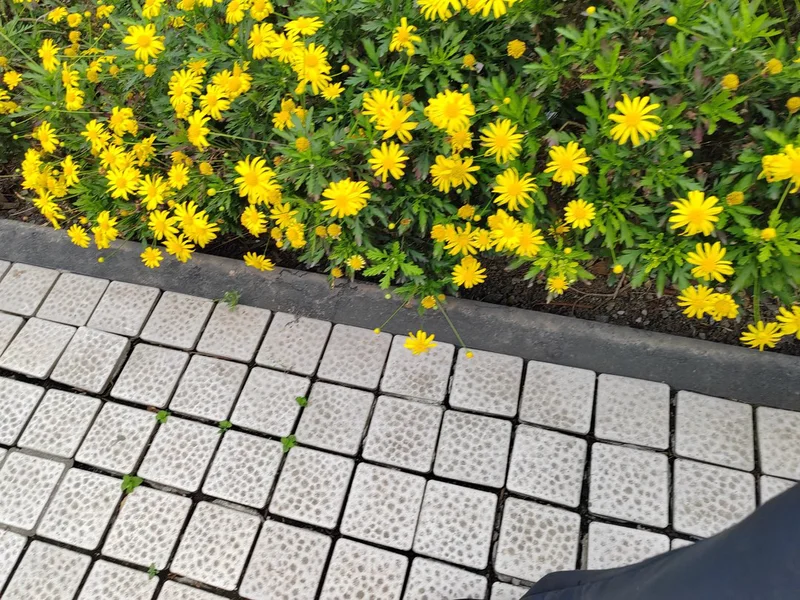仙居山，宁静与和谐，永恒的安宁之地