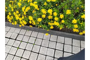 仙居山，宁静与和谐，永恒的安宁之地