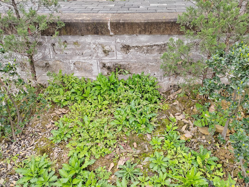 thumb_IMG_20230222_124819