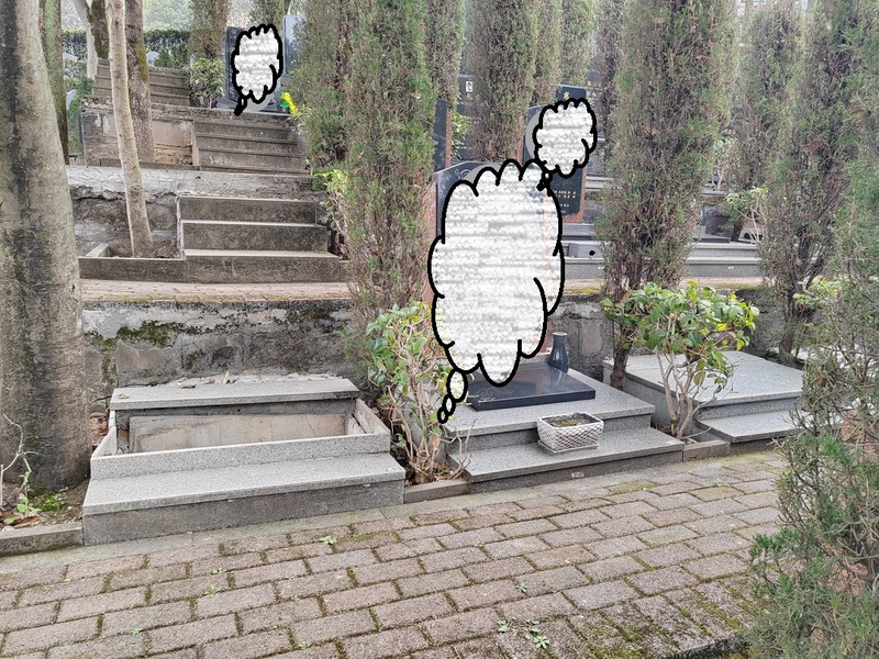 thumb_IMG_20230219_104725