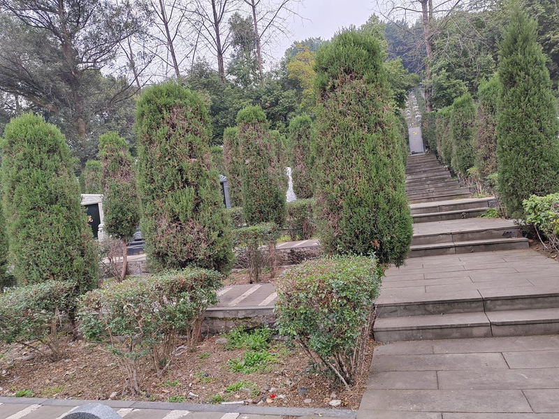 thumb_IMG_20230212_161433