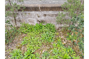 重庆仙居山陵园交通路线