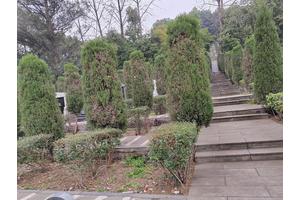 重庆市巴南区白马山公墓